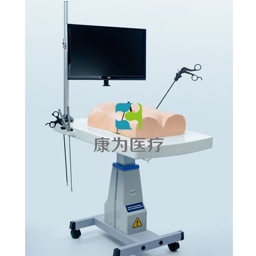 腹腔鏡（生物仿真材料）模擬訓練系統