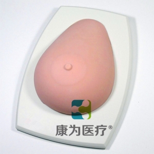 “康為醫療”高級乳腺檢查訓練模型