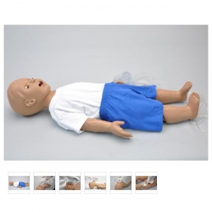 德國3B Scientific?嬰兒CPR模型
