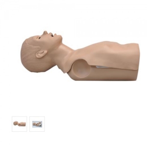 德國3B Scientific?CPR Simon 軀干模擬裝置