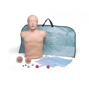 德國3B Scientific?心肺復蘇（CPR）軀干模型
