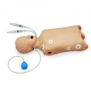 德国3B Scientific?高级儿童CPR/气道管理躯干模型，具有除颤训练功能特征