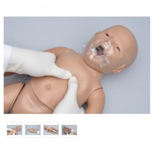 德國3B Scientific?新生兒CPR和綜合護理模型，帶控制器，增加脛骨穿刺和靜脈通路