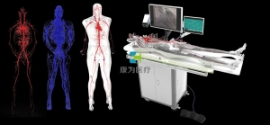 全身人體動靜脈血管模型,動靜脈血管及骨骼模擬系統